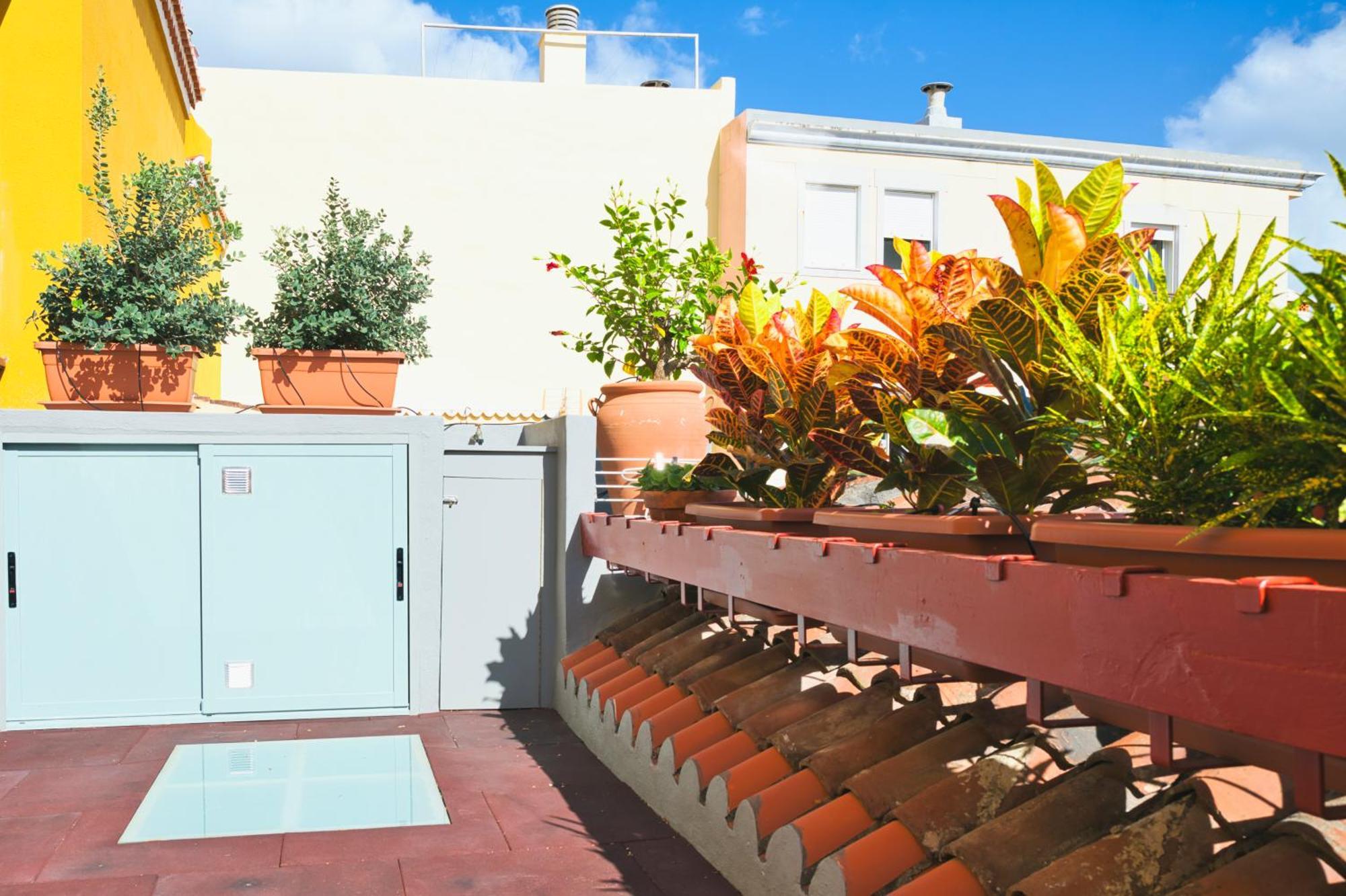Casa Emblematica Isabel Βίλα Santa Cruz de la Palma  Εξωτερικό φωτογραφία